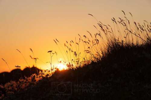 flyfoto av bodø, Nord-norge, nordland, lofoten, vesterålen, helgeland, midnattsol, midnight sun