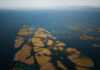 flyfoto av nord-norge, nordland, helgeland, vega, verdensarven, world heritage, unesco 