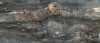 Foto nr: 0037