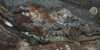 Foto nr: 0059