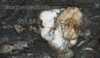 Foto nr: 0067