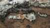 Foto nr: 0171