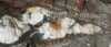 Foto nr: 0236