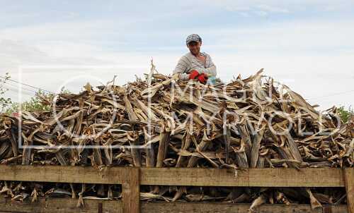 flyfoto av Nord-norge, nordland, lofoten, vesterålen, tørrfisk, hjeller, stockfish, fish, fisk
