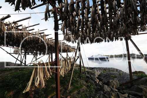 flyfoto av Nord-norge, nordland, lofoten, vesterålen, tørrfisk, hjeller, stockfish, fish, fisk