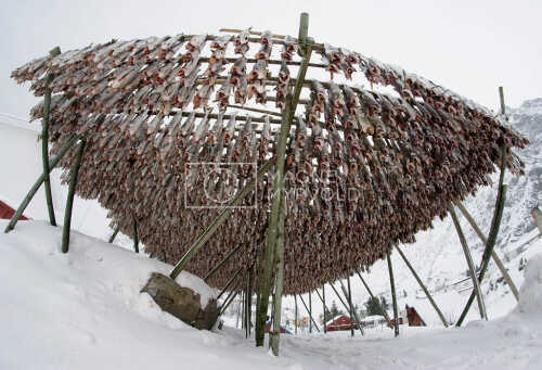 flyfoto av Nord-norge, nordland, lofoten, vesterålen, tørrfisk, hjeller, stockfish, fish, fisk