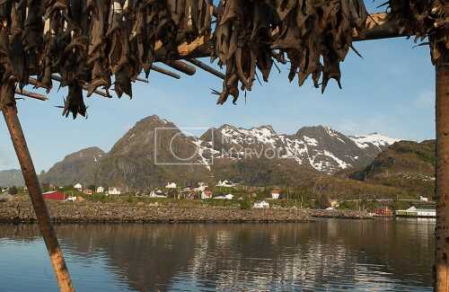 flyfoto av Nord-norge, nordland, lofoten, vesterålen, tørrfisk, hjeller, stockfish, fish, fisk