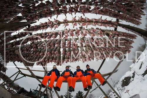 flyfoto av Nord-norge, nordland, lofoten, vesterålen, tørrfisk, hjeller, stockfish, fish, fisk