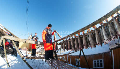 flyfoto av Nord-norge, nordland, lofoten, vesterålen, tørrfisk, hjeller, stockfish, fish, fisk