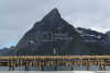 flyfoto av Nord-norge, nordland, lofoten, vesterålen, tørrfisk, hjeller, stockfish, fish, fisk 