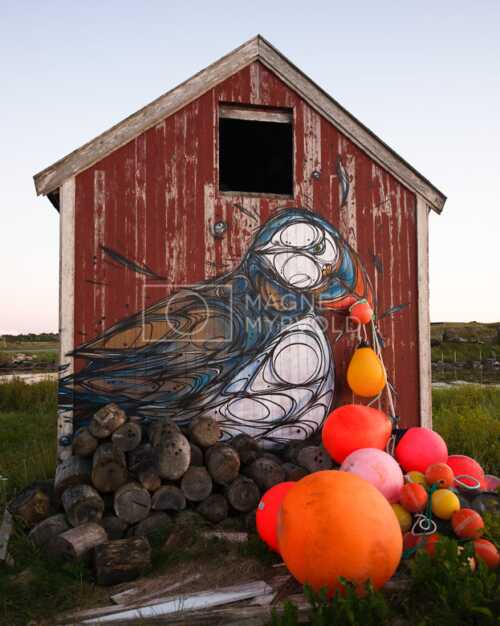bilde av: Bodø, Nord-norge, nordland, lofoten, vesterålen, helgeland, norway, art, kunst