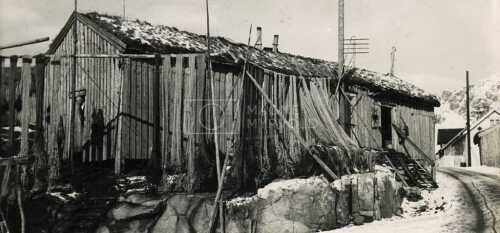 historiske bilder, lofotfiske, cod, history, torsk, lofoten, tørrfisk, stockfish