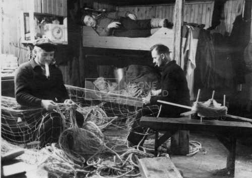 historiske bilder, lofotfiske, cod, history, torsk, lofoten, tørrfisk, stockfish