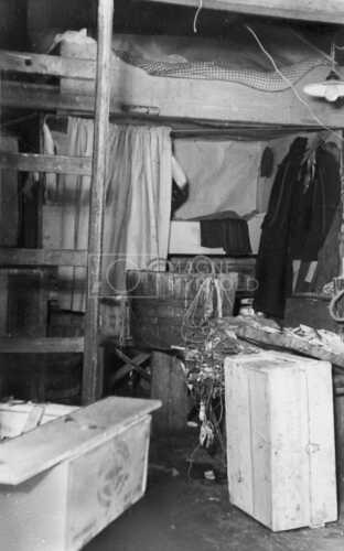 historiske bilder, lofotfiske, cod, history, torsk, lofoten, tørrfisk, stockfish