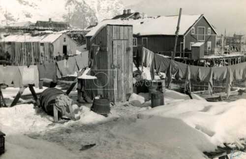 historiske bilder, lofotfiske, cod, history, torsk, lofoten, tørrfisk, stockfish