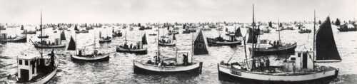 historiske bilder, lofotfiske, cod, history, torsk, lofoten, tørrfisk, stockfish
