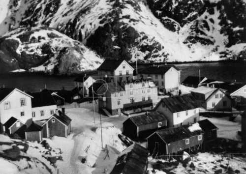 historiske bilder, lofotfiske, cod, history, torsk, lofoten, tørrfisk, stockfish